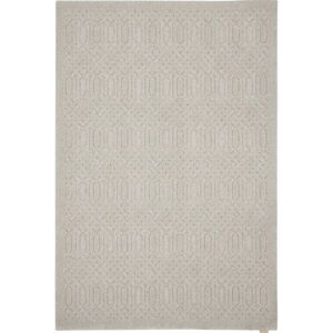 Světle šedý vlněný koberec 200x300 cm Dive – Agnella